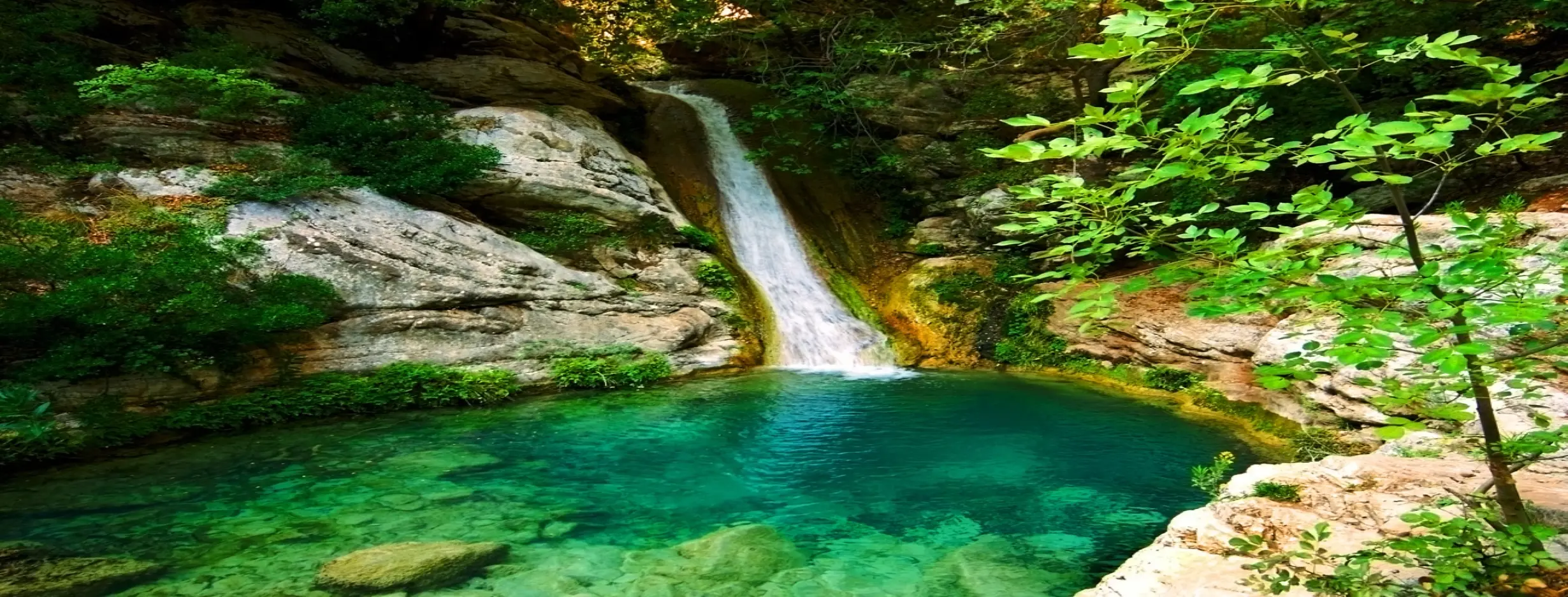 Image for Hidden Gem